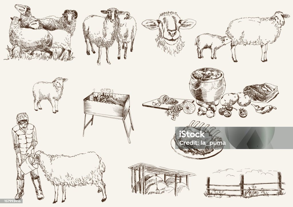 L'allevamento ovino - arte vettoriale royalty-free di Agnello - Animale