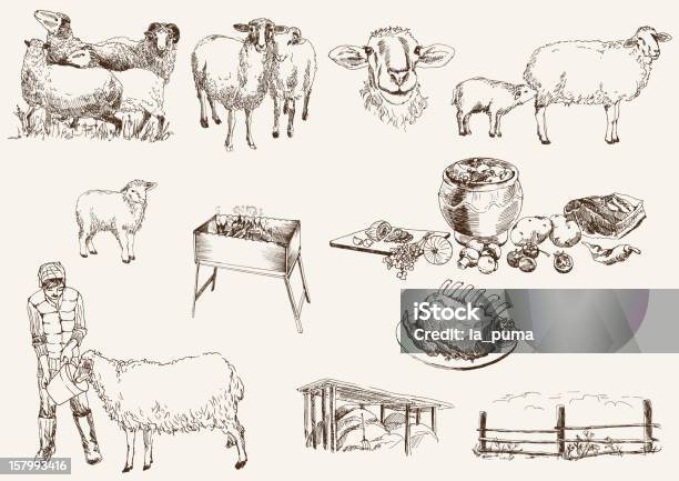Lallevamento Ovino - Immagini vettoriali stock e altre immagini di Agnello - Animale - Agnello - Animale, Agnello - Carne, Braciola di agnello