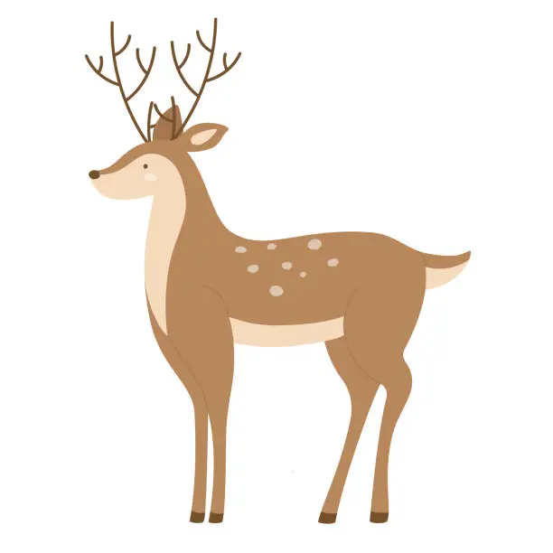 Vector illustration of Wildlife deer animal