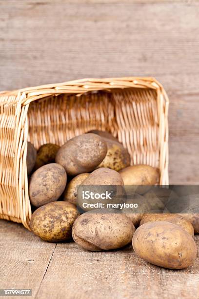 Basket With Fresh Potatoes Stock Photo - Download Image Now - Agriculture, Autumn, Basket