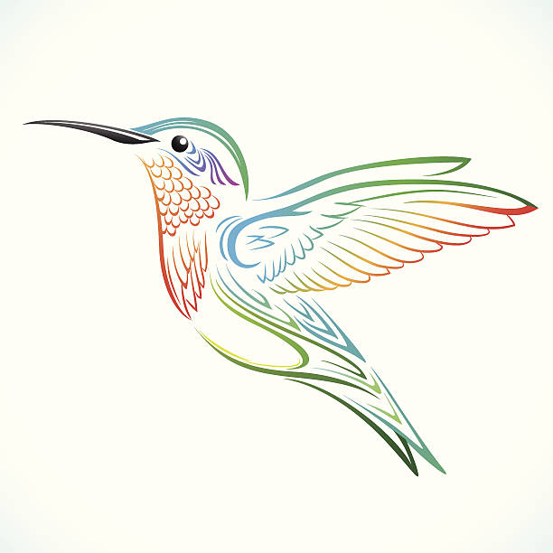 Colorful Humming bird Colorful hummingbird vector illustration. hummingbird stock illustrations