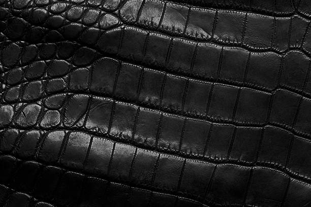 crocodile leather stock photo