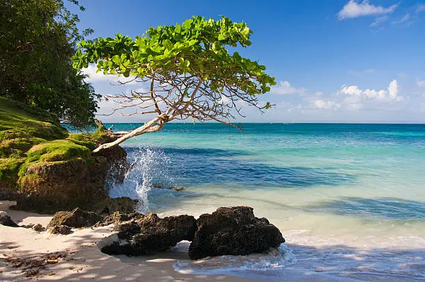 Beach near Samana & Cayo Levantado, Dominican Republic.