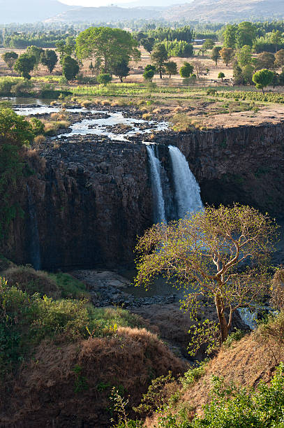 istock The Blue Nile Falls in Ethiopia 157997907