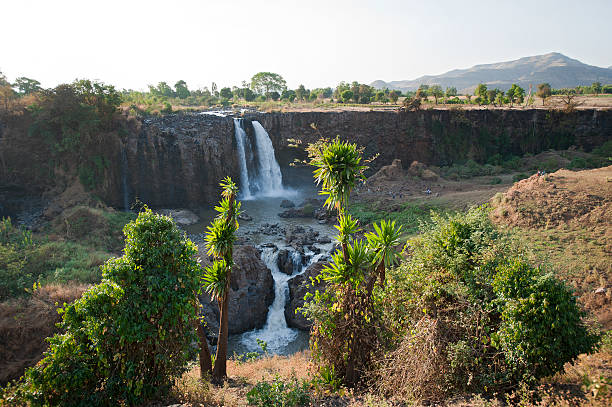 The Blue Nile Falls in Ethiopia The Blue Nile Falls on the Blue Nile River in Ethiopia. This waterfall is also know as Tis Abay or Tissiat, which means "Smoking Water" in the Amharic language. The falls are about 30 km donwstream from Lake Tana and are one of Ethiopia blue nile stock pictures, royalty-free photos & images