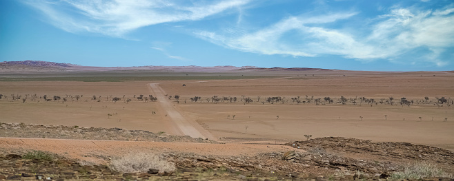 Namibia, panorama of the Namib desert, wild landscape with a dirt road in background