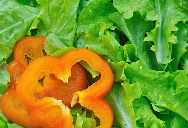 green salad with paprika stock photo