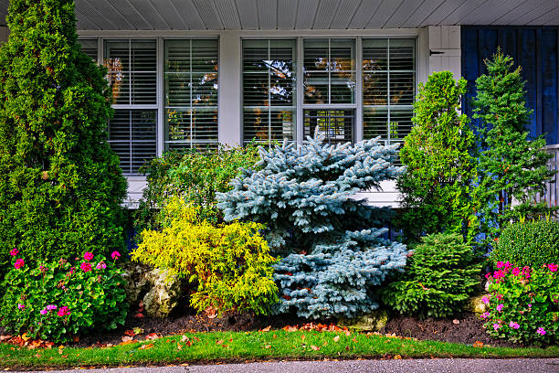 220+ Flower Beds In Front Of House Stock Photos, Pictures & Royalty-Free Images - iStock 220+ Flower Beds In Front Of House Stock Photos, Pictures & Royalty-Free Images - Istock