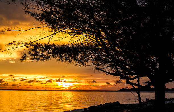 Sunrise in tropical sea with tree and clouds 