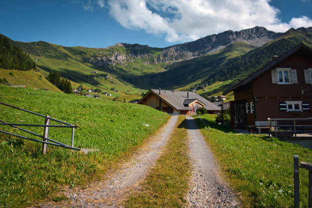 route de campagne et maisons près des alpes de malbun, liechtenstein - footpath european alps fence woods photos et images de collection