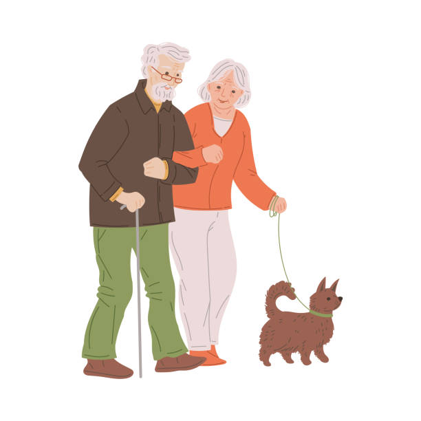 szczęśliwy staruszek i kobieta spacerujący z psem razem w płaskim stylu - old cane isolated on white white background stock illustrations