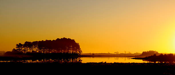 istock Golden Sunrise over Wetlands 158003935
