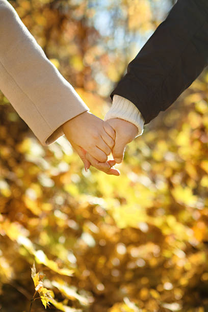 istock Young couple holding hands in the autumn forest 158004013