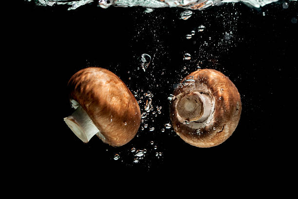 hongos en agua - mushroom edible mushroom water splashing fotografías e imágenes de stock