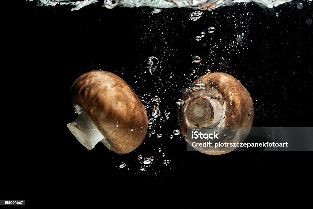 Fungi in water mushrooms thrown into the water on a black background Cleaning Stock Photo