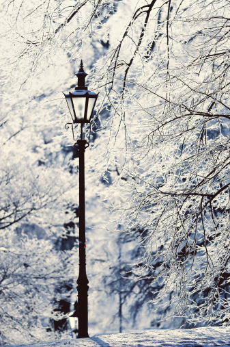 Lamppost in the winter park covered with white snow