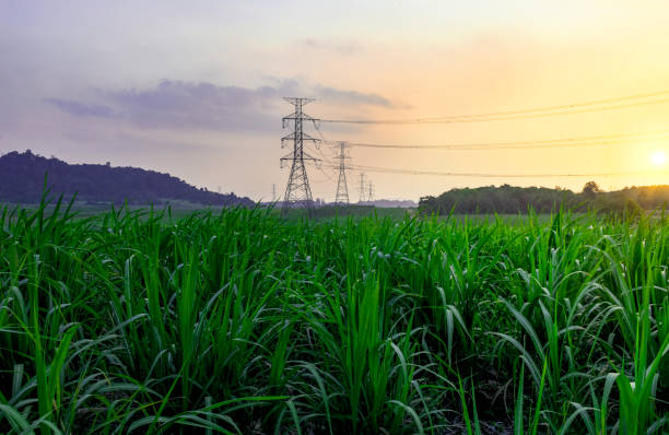 istock High voltage electricity distribution pole with trees shadow at sunset 1580055399