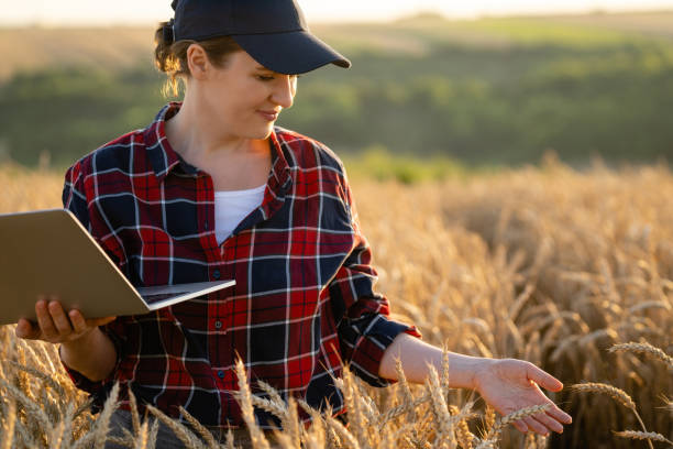istock Farmer working with laptop on wheat field 1580070054