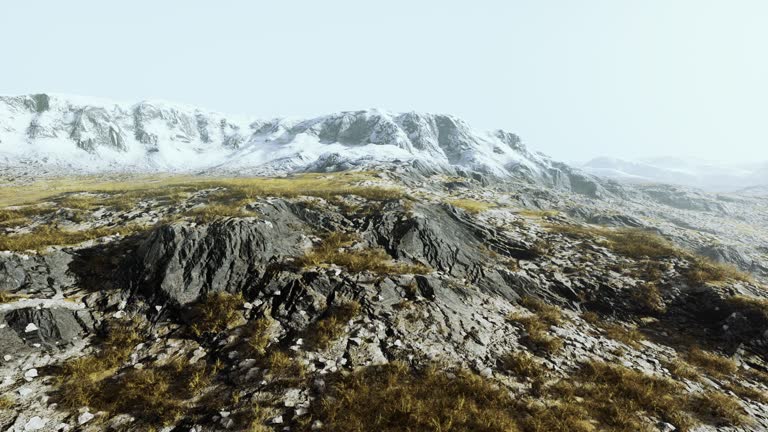 lanscape with barren mountain which is covered with ice