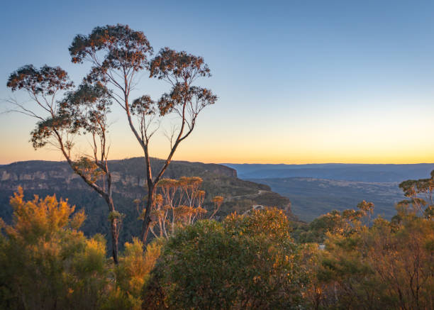 istock Australian forest and mountains at sunset 1580097809
