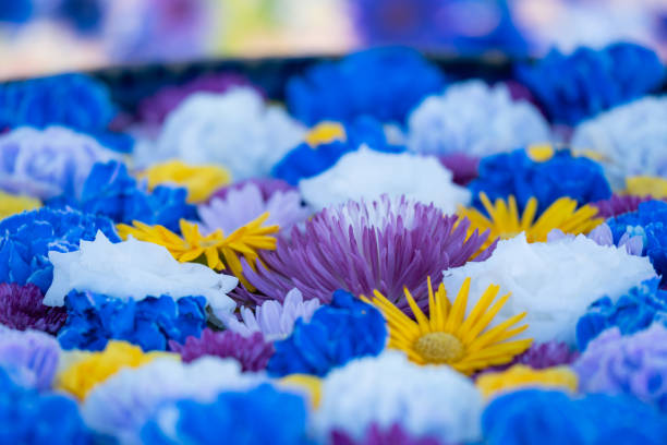 flower background material