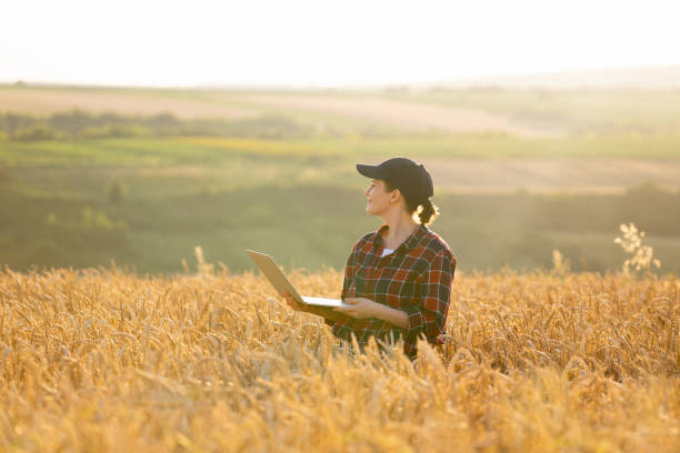 istock Farmer working with laptop on wheat field 1580102215
