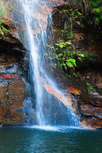 istock Close up of waterfall in a mountain stream 1580102959
