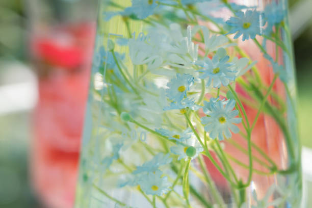 istock Colorful herbarium displayed on the shelf 1580129309