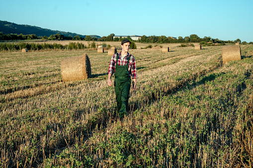 Young male farmer working in a field with straw bales