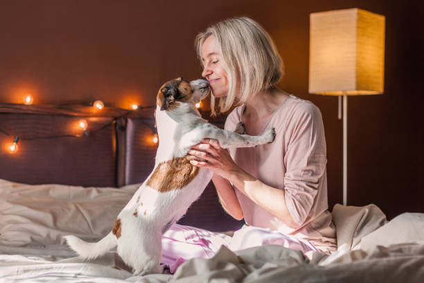 istock Happy middle aged woman sits on bed and stretching arms 1580162707