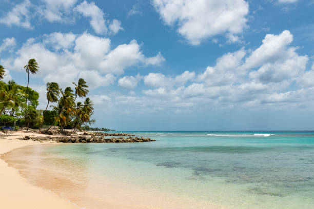 istock Idyllic Tropical Beach with Palm Trees and White Sand 1580194578