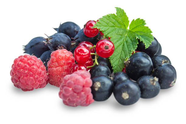 istock Fresh wild berries with foliage. 1580218502