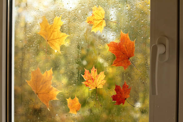 istock autumn day cozy at home 1580257911