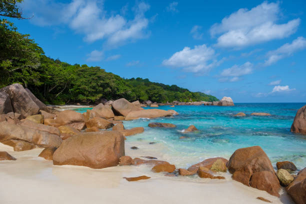 istock Anse Cocos La Digue Seychelles, Tropical beach Anse Cocos La Digue Seychelles. 1580258956