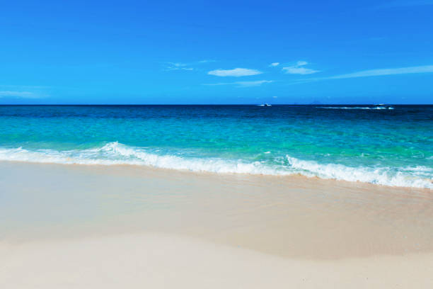 istock Beautiful beach and tropical sea 1580269304