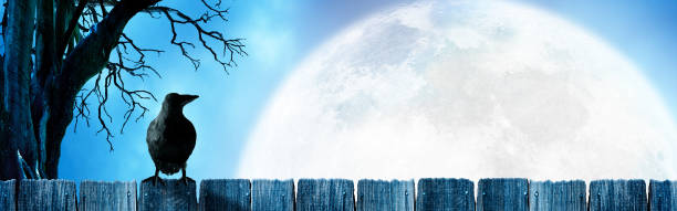 A raven sits on an old fence in front of a rising full moon framed by the twisted branches of an bare tree.