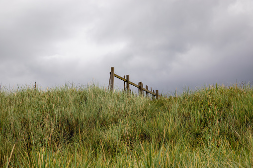 Old timber fence section and grass against an overcast sky at a coastal path verge location