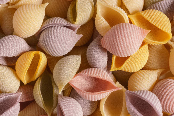 istock Italian Conchiglioni pasta 1580313398