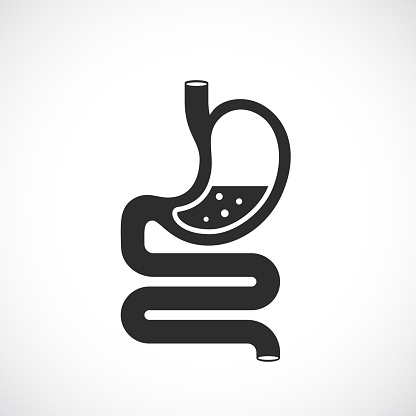 Stomach vector icon, digestion medical symbol on white background