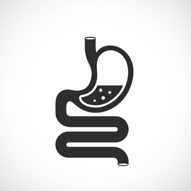 Stomach vector icon, digestion medical sign vector art illustration