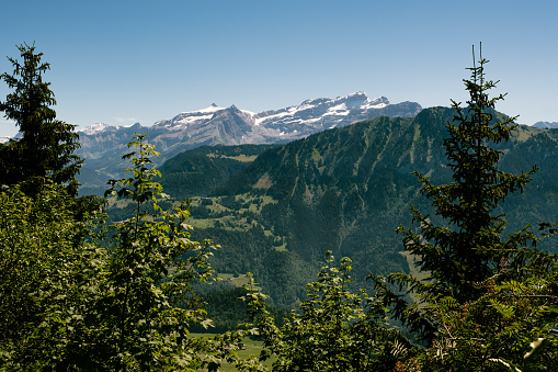 Scenic view on the Rhone Valley on a sunny bright day with a view on the Diablerets mountain range seen from Leysin near Aigle in summer.