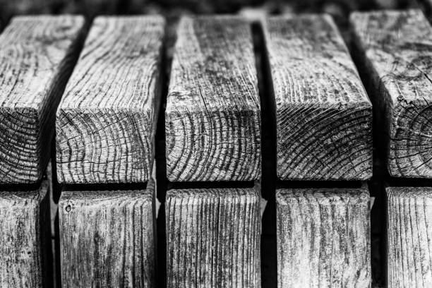 istock Details from old wooden bench in park 1580352977