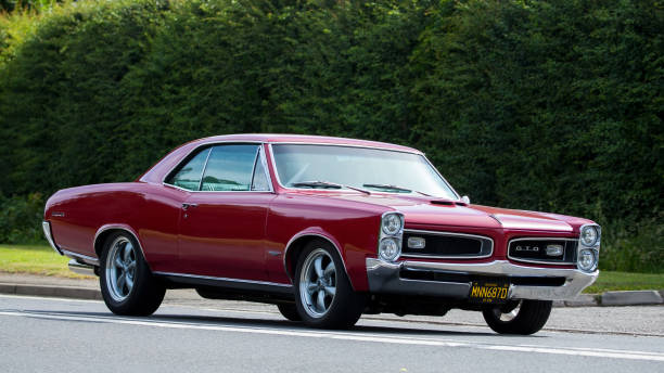 pontiac gto - pontiac gto stock-fotos und bilder