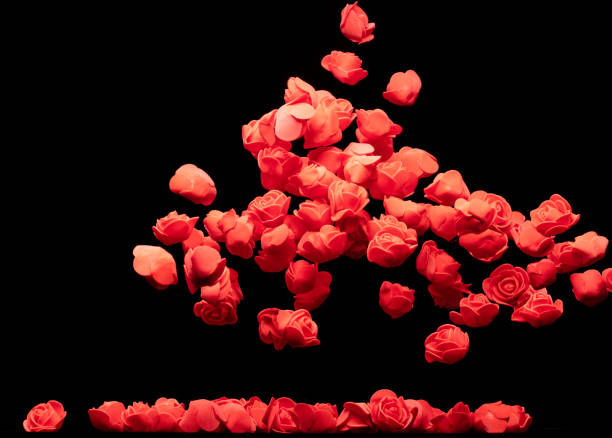 istock Red small Rose Flower explosion up. Many Styrofoam Roses present Love romantic wedding valentine. Artificial foam Red rose fly in air. White background isolated selective focus blur 1580370485