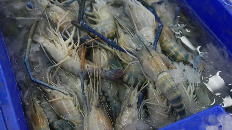 Fresh shrimp in supermarket