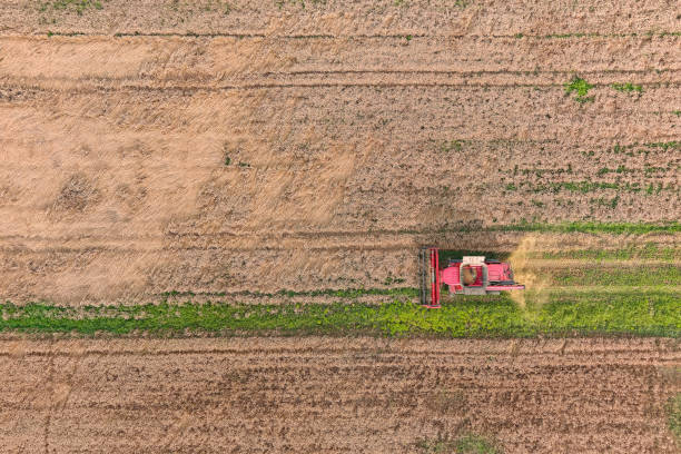istock Harvester machine to harvest wheat field 1580408026