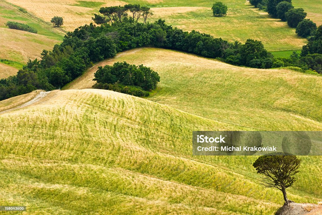 Paisagem toscana - Foto de stock de Paisagem - Cena Não-urbana royalty-free