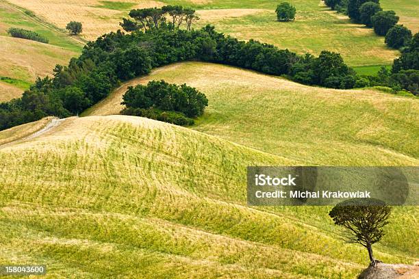 Foto de Paisagem Toscana e mais fotos de stock de Paisagem - Cena Não-urbana - Paisagem - Cena Não-urbana, Pisa, Toscana - Itália