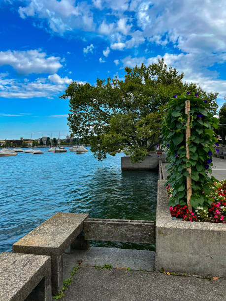 istock Panoramic view of the Zurich lake 1580475593