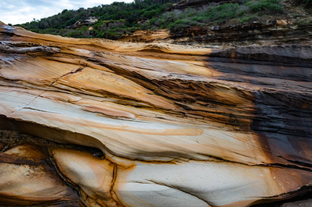 istock Sydney Royal National Park 1580477735